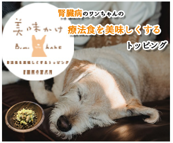 �������� �̔��X